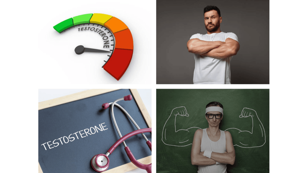 Did you know some type of food lower testosterone level? - LL Health Supplement 