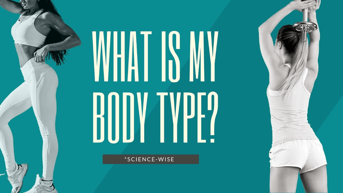 What is your body type? - LL Health Supplement 