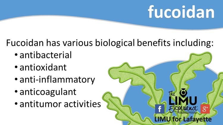 A state-of-the-art review on fucoidan as an antiviral agent to combat viral infections - L & L Supplement LLC