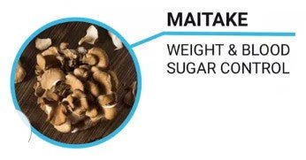 Does Maitake Mushroom Extract Enhance Hematopoiesis in Myelodysplastic Patients? - L & L Supplement LLC