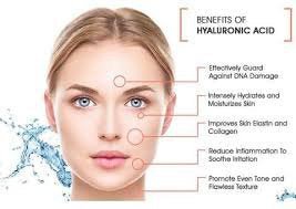 Hyaluronic acid: A key molecule in skin aging - L & L Supplement LLC