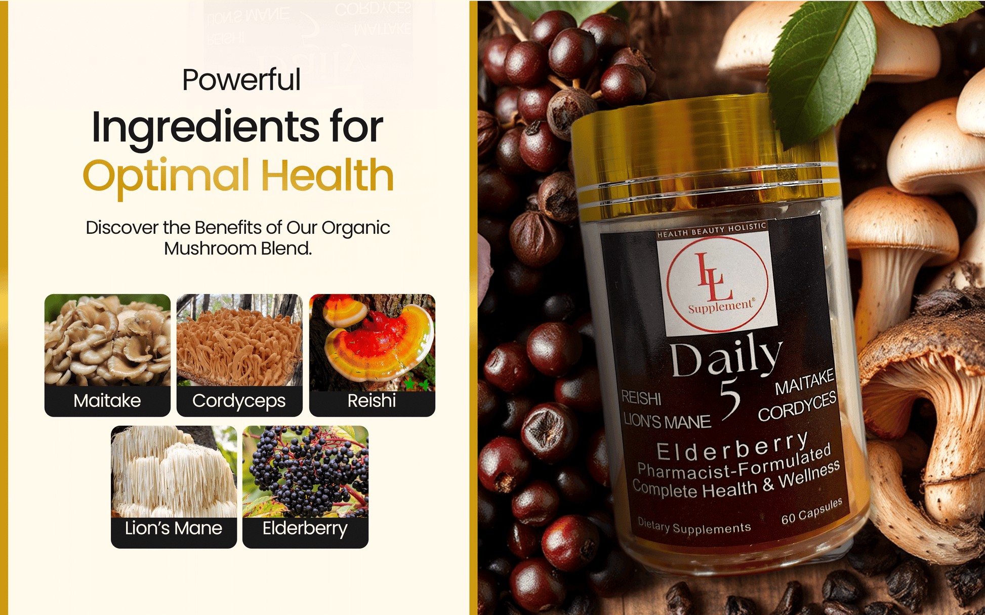 Clarity & Resilience Set: Healthy Mind & Focus LLS LL Supplement